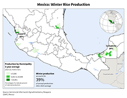 images\MX\seasonalmap\Mexico_Winter_Rice_preview.png
